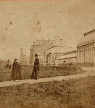 nyplagdept.jpg